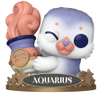Aquarius 13 ZODIAC Funko POP! Vinyl   