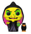 Disguised Evil Queen with Raven 1426 Disney Villains Funko POP! 