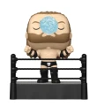 Triple H (Ring Entrance) 192 WWE Funko POP! Vinyl