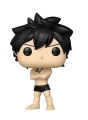 Gray 2287 CHASE Fairy Tail Funko POP! Vinyl 