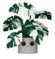 Monstera Variegata 13 Flora Funko POP! Plants