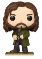 Sirius Black 222 Harry Potter Funko POP! Vinyl