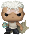 Scar 1179 Fullmetal Alchemist Funko POP! Vinyl
