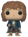 Pippin Took 530  The Lord of The Rings Funko POP  