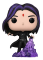 Raven 1513  DC Titans  Funko POP!  