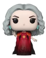 The Witch Mother 1375 Disney Hocus Pocus Funko POP! Vinyl  