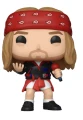 Axl Rose 397 CHASE  Guns ‘N’ Roses Rocks Funko POP! Vinyl   