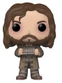 Sirius Black 67 BOX (unsealed) Harry Potter Funko POP! Vinyl